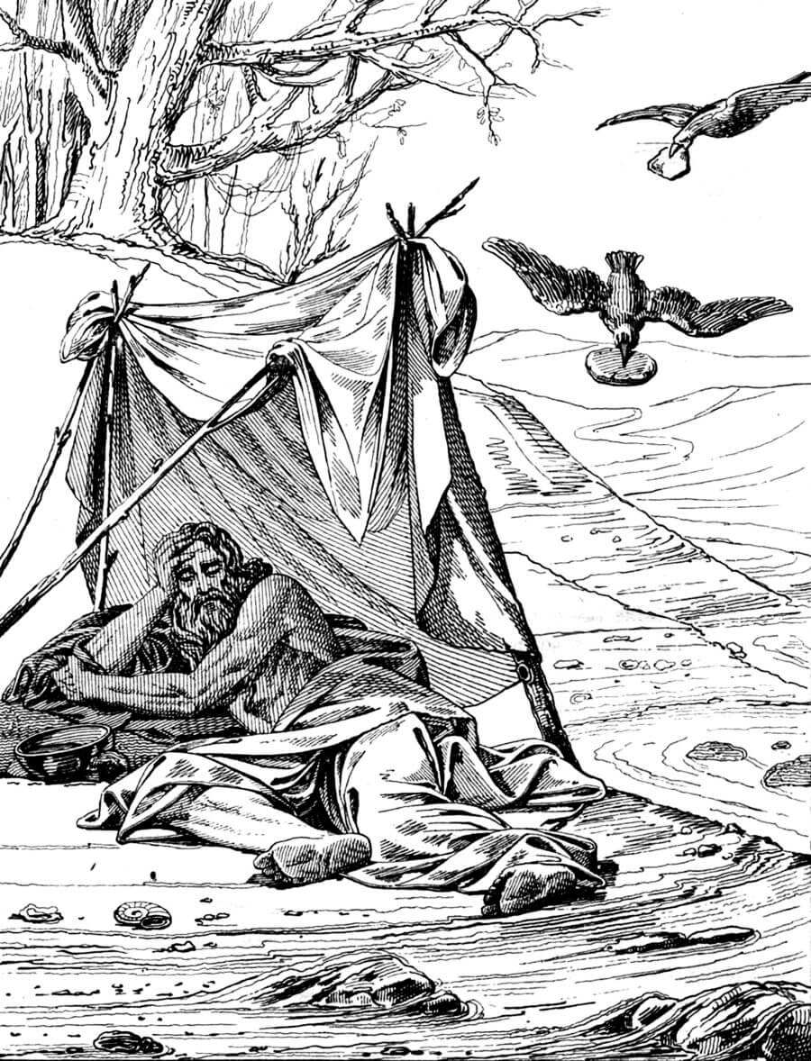 HOME-SCHOOLED AT WADI CHERITH
